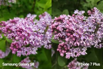 porovnani foto – S8 vs iP 7 P 1