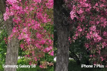 porovnani foto – S8 vs iP 7 P mini 3