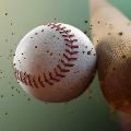 baseball