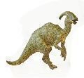 parasaurolophus