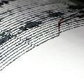 seismogram