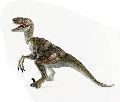 velociraptor