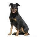 BEAUCERON