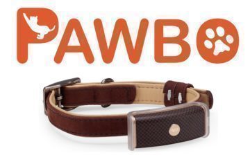 Chytrý obojek Pawbo WagTag sleduje, co váš pes dělá