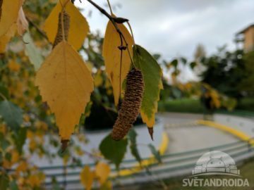 Recenze Google Pixel porizene fotografie dobre svetlo 16