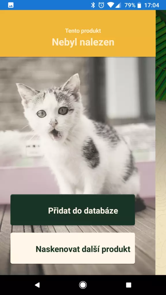 palmovy olej aplikace