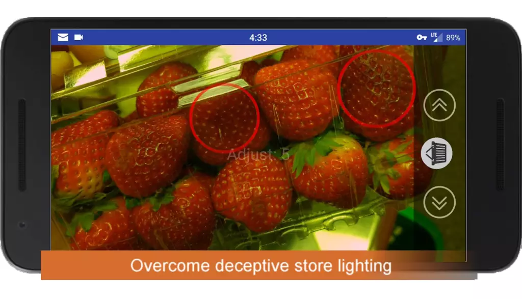 FreshSavvy 2