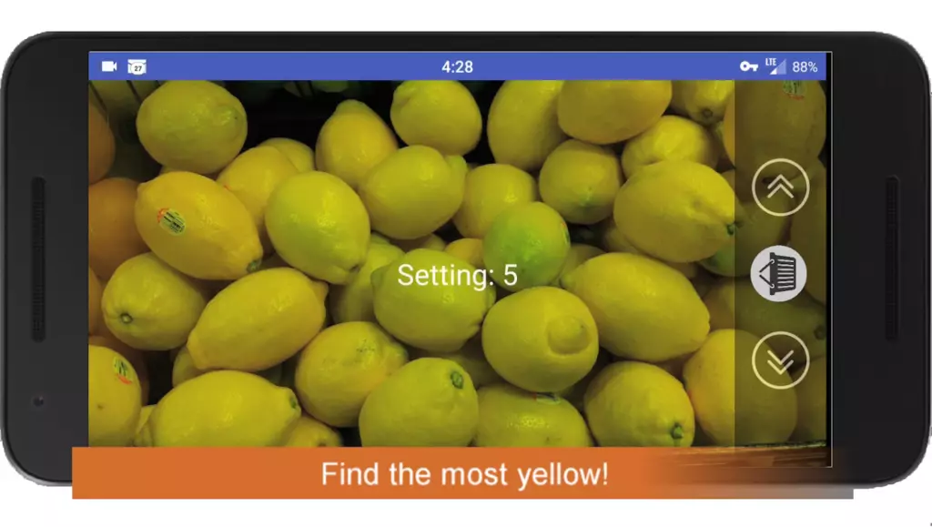 FreshSavvy 3