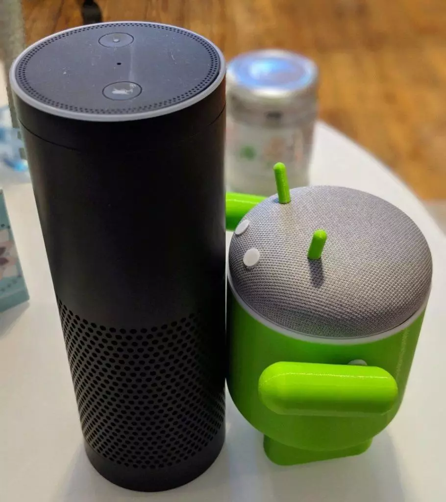 bugdroid google home mini