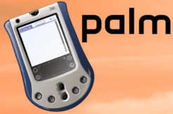 palm telefon