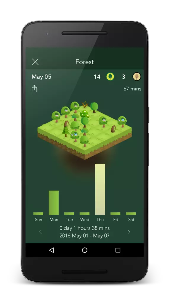 Forest