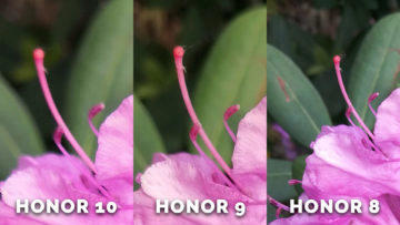 Fototest honor 10 - detail ruzova kvetina