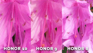 Fototest honor 9 - detail kvetiny