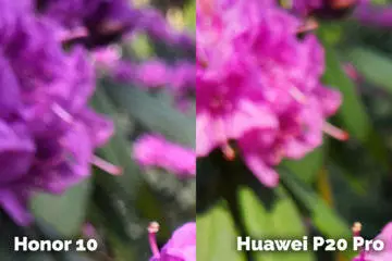 Honor 10 vs Huawei P20 Pro detail rostlina fototest