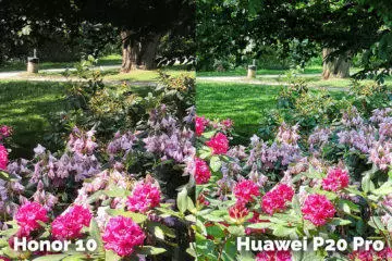 Honor 10 vs Huawei P20 Pro foto test kytice