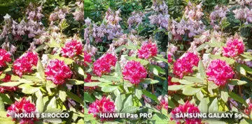 Který mobil má nejlepší fotoaparát? Nokia 8 Sirocco vs Huawei P20 Pro vs Samsung Galaxy S9 Plus - kytice