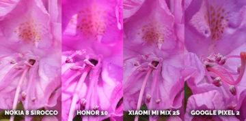 Který mobil fotí nejlépe? detail květ