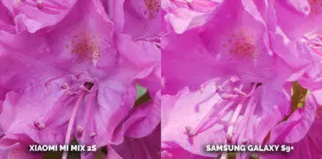 Jaký mobil s dobrým fotoaparátem koupit? Xiaomi Mi Mix 2S nebo Samsung Galaxy S9 Plus - kytice