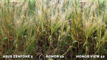 Který telefon fotí nejlépe? Asus Zenfone 5 vs. Honor 10 vs. Honor View 10 - priroda