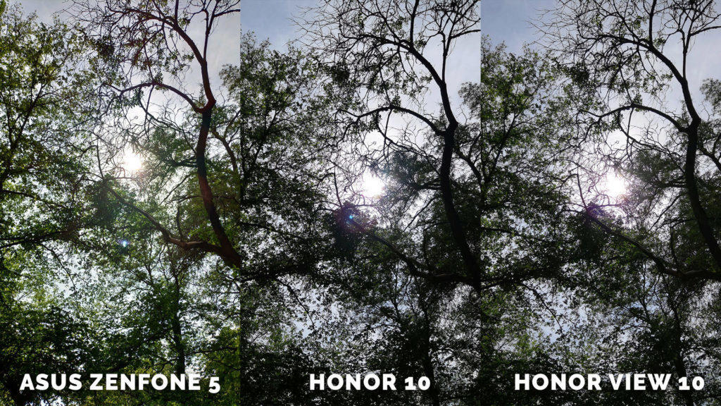Stromy fotografování srovnání Asus Zenfone 5 vs. Honor 10 vs. Honor View 10 20