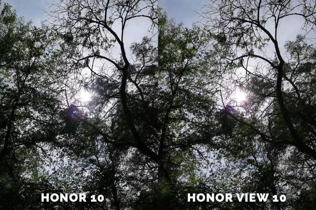 Honor 10 vs. Honor View 10 fototestovani stromy