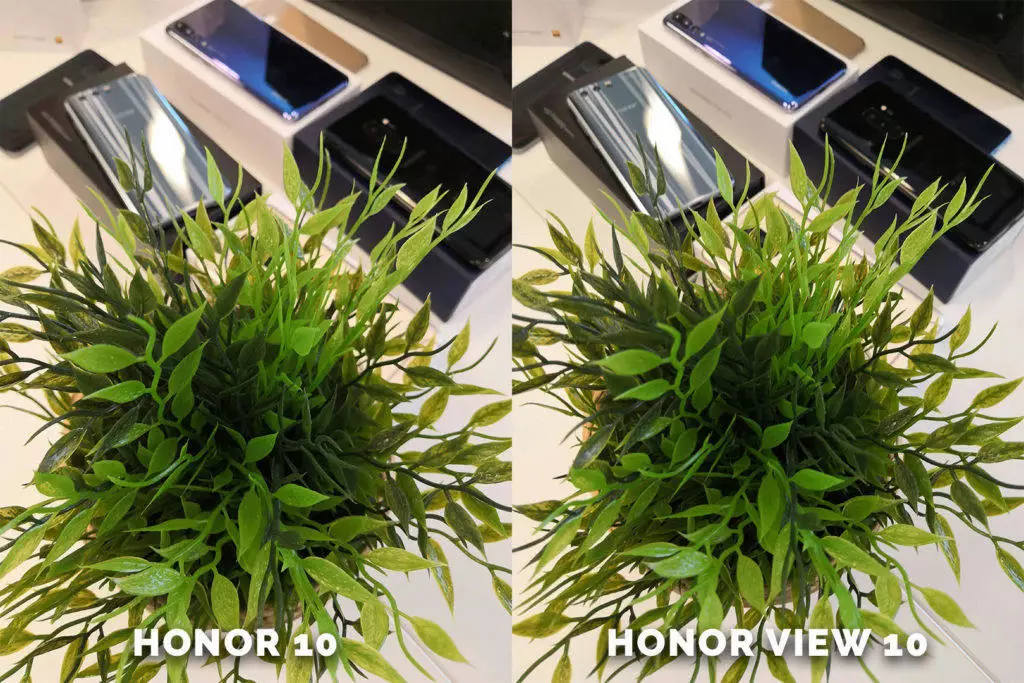 Honor 10 vs. Honor View 10 rostlina testovani