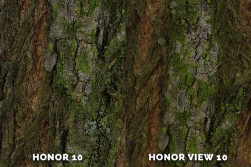 honor 10 fotí skvěle strom detail