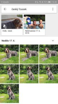 5 povedených aplikací Google Fotky