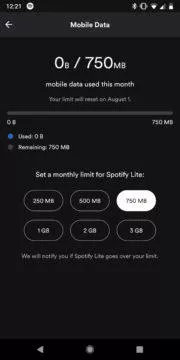 spotify lite data