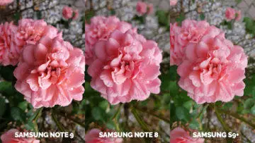 fotografie kytka test fotoaparatu note 9 vs note 8 vs galaxy s9