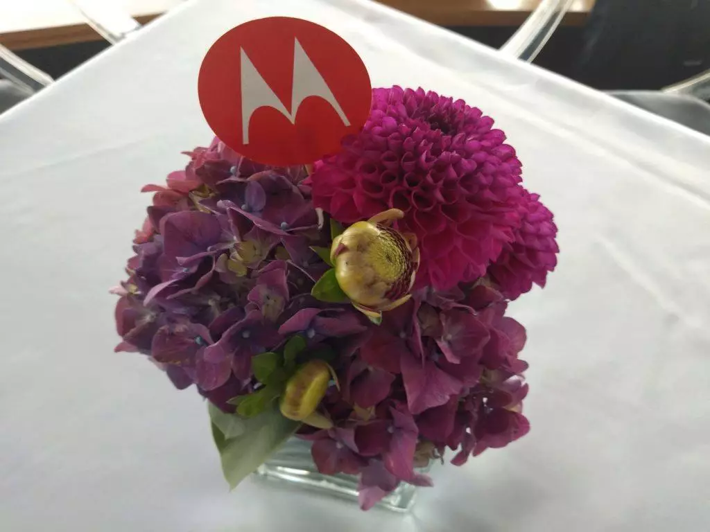 motorola one fotografie kytice