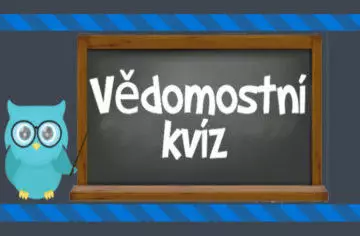 Hra Vědomostní kvíz: potrapte své mozkové závity