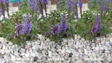 apple iphone xs vs huawei mate 20 pro vs samsung galaxy note 9 makro květina
