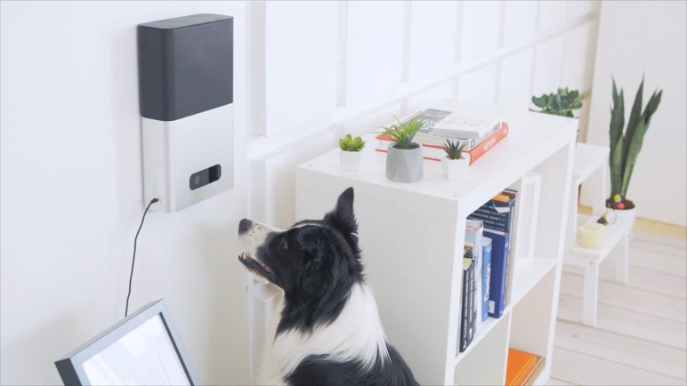 Petcube Bites: Reward your beloved pet with this all-in-one interactive treat cam