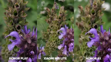 Srovnani fotoaparatu Honor Play vs Xiaomi Mi 8 Lite vs Honor 8X makro detail