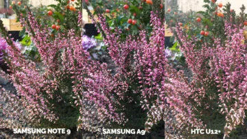 Srovnání fotoaparátů Samsung Galaxy A9 vs Samsung Galaxy Note 9 vs HTC U12+ makro