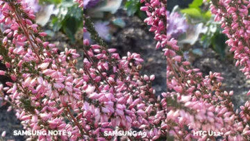 Srovnání fotoaparátů Samsung Galaxy A9 vs Samsung Galaxy Note 9 vs HTC U12+ makro detail