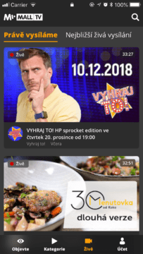 Česká internetová televize