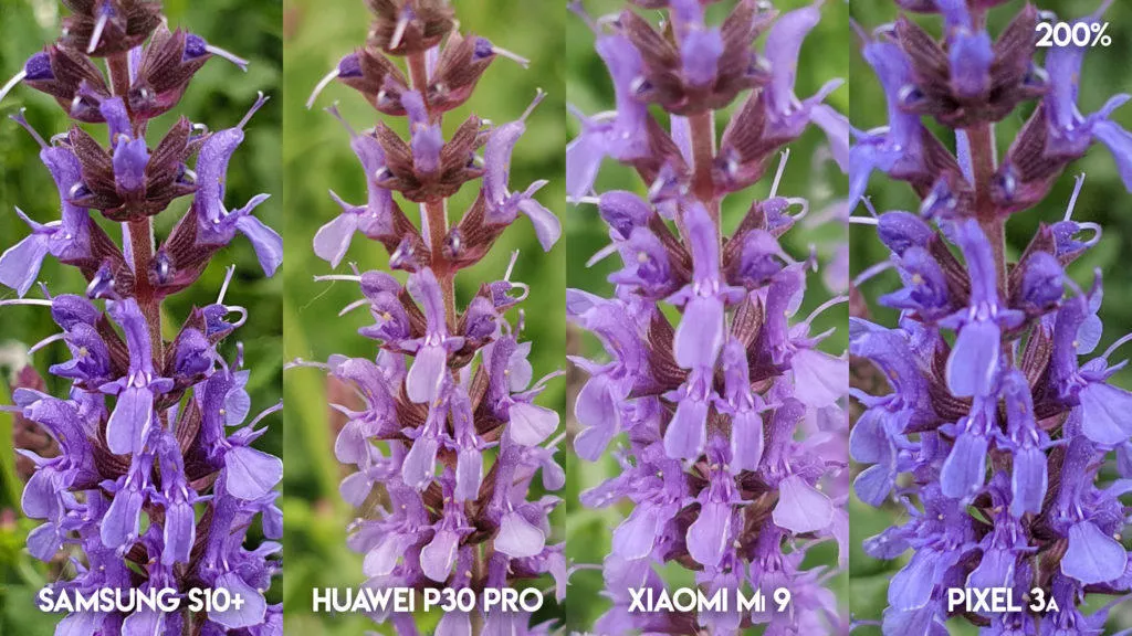 Fototest S10 vs P30 Pro vs Mi 9 vs Pixel 3A detail květiny