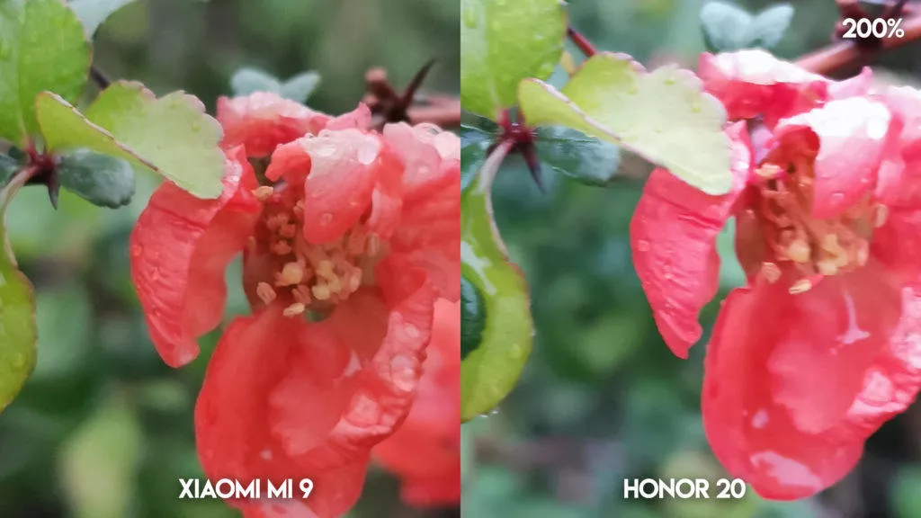 Fototest Xiaomi Mi 9 vs Honor 20 kvetina detail