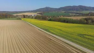 Hubsan Zino fotografie z dronu krajina s řepkou