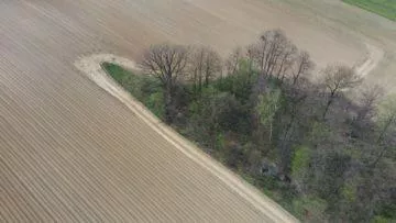 Hubsan Zino fotografie z dronu stromy na jaře