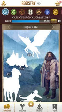 Registry Wizards Unite Hagrid