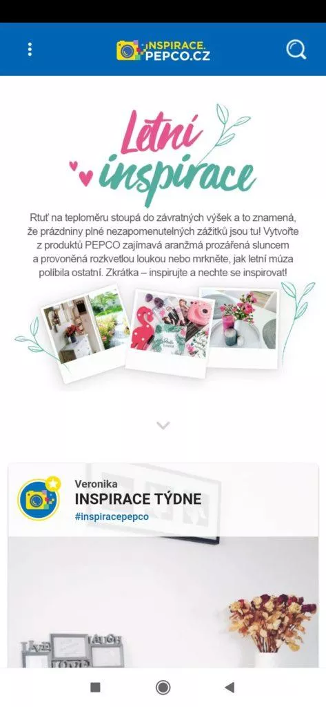 Tematické inspirace PEPCO