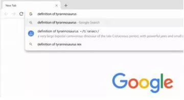 vyhledávač google
