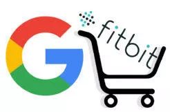 google fitbit koupe