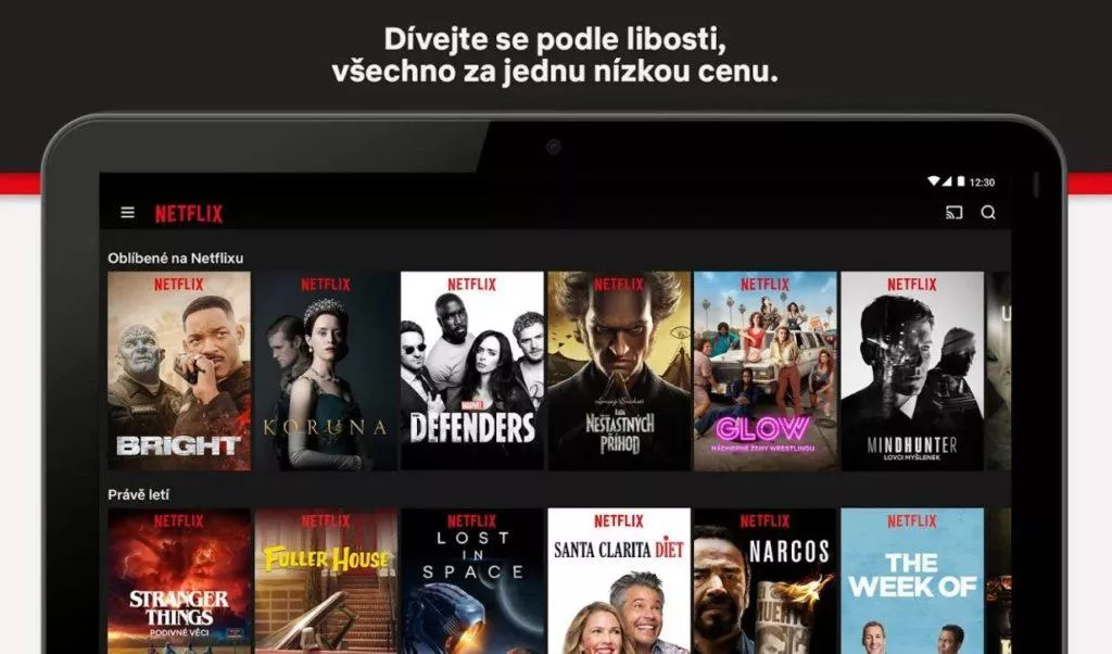 netflix cz 4