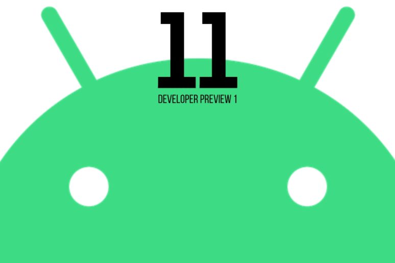 Developer Preview 1 Android 11