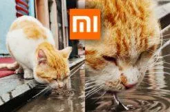 jak dobře fotí Xiaomi Mi 10