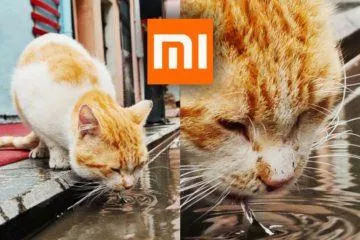 jak dobře fotí Xiaomi Mi 10